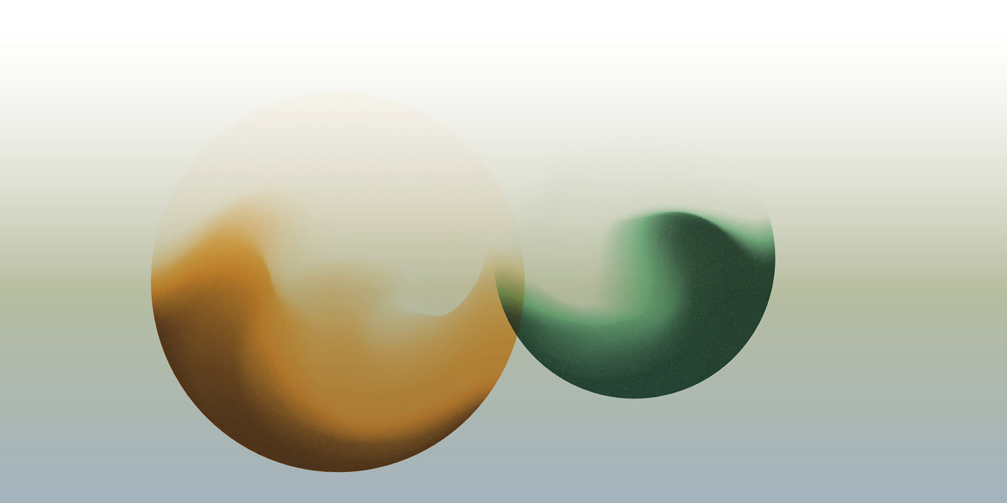 TCM Marti, traditionelle chinesische Medizin