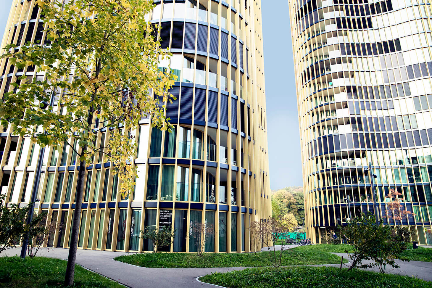 TCM Marti – Praxis für traditionelle chinesische Medizin